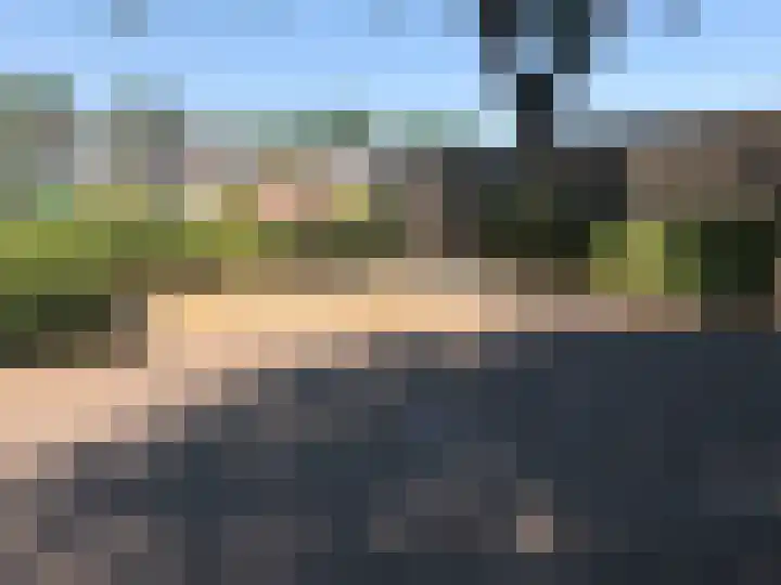 Korhoenderveld 229 Cuijk thumbnail 21
