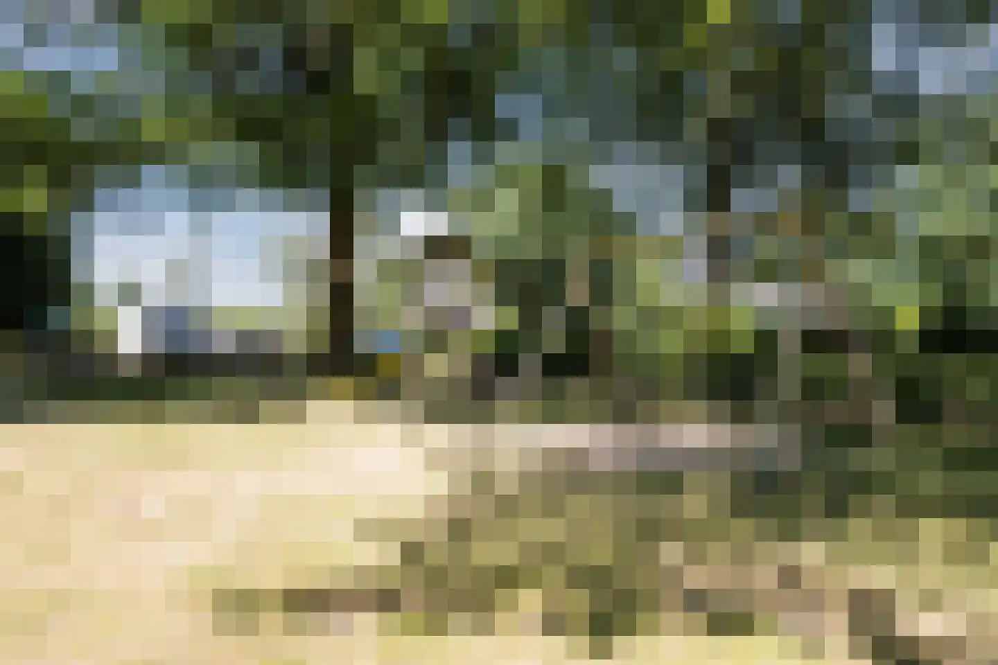 Korhoenderveld 239 Cuijk thumbnail 20