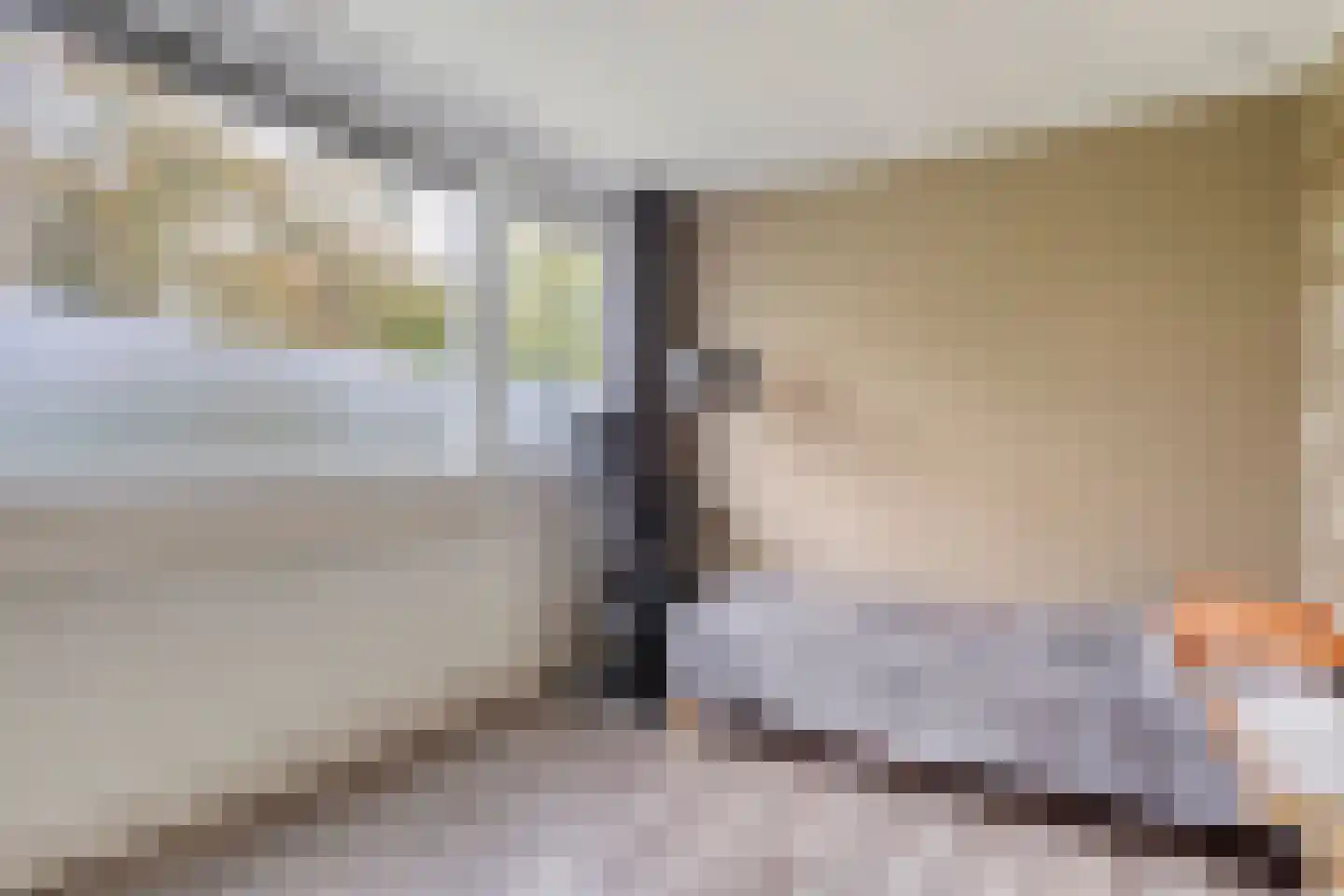 Korhoenderveld 29 Cuijk thumbnail 23
