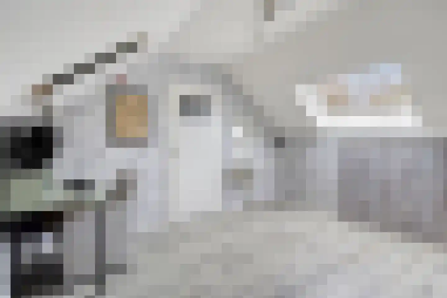 Korhoenderveld 29 Cuijk thumbnail 4
