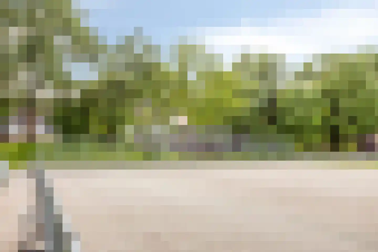 Korhoenderveld 29 Cuijk thumbnail 40