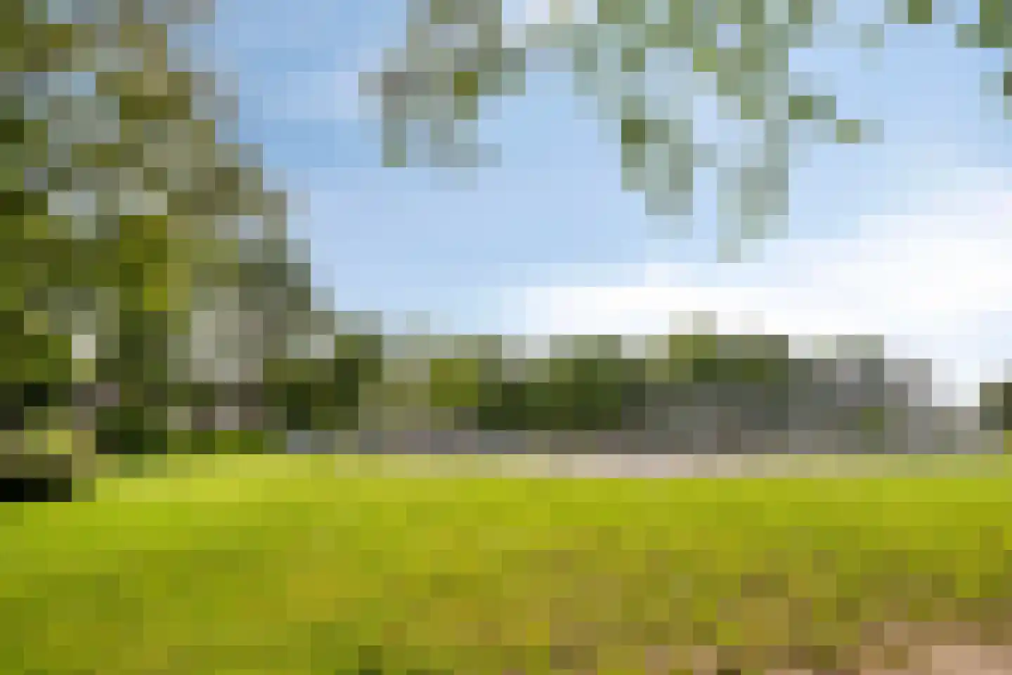 Korhoenderveld 29 Cuijk thumbnail 41