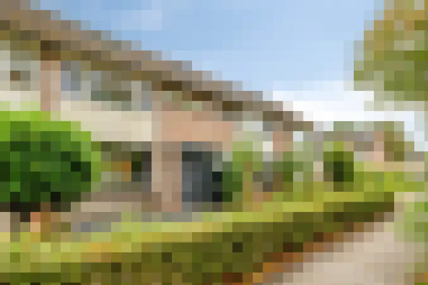 Korhoenderveld 29 Cuijk thumbnail 7