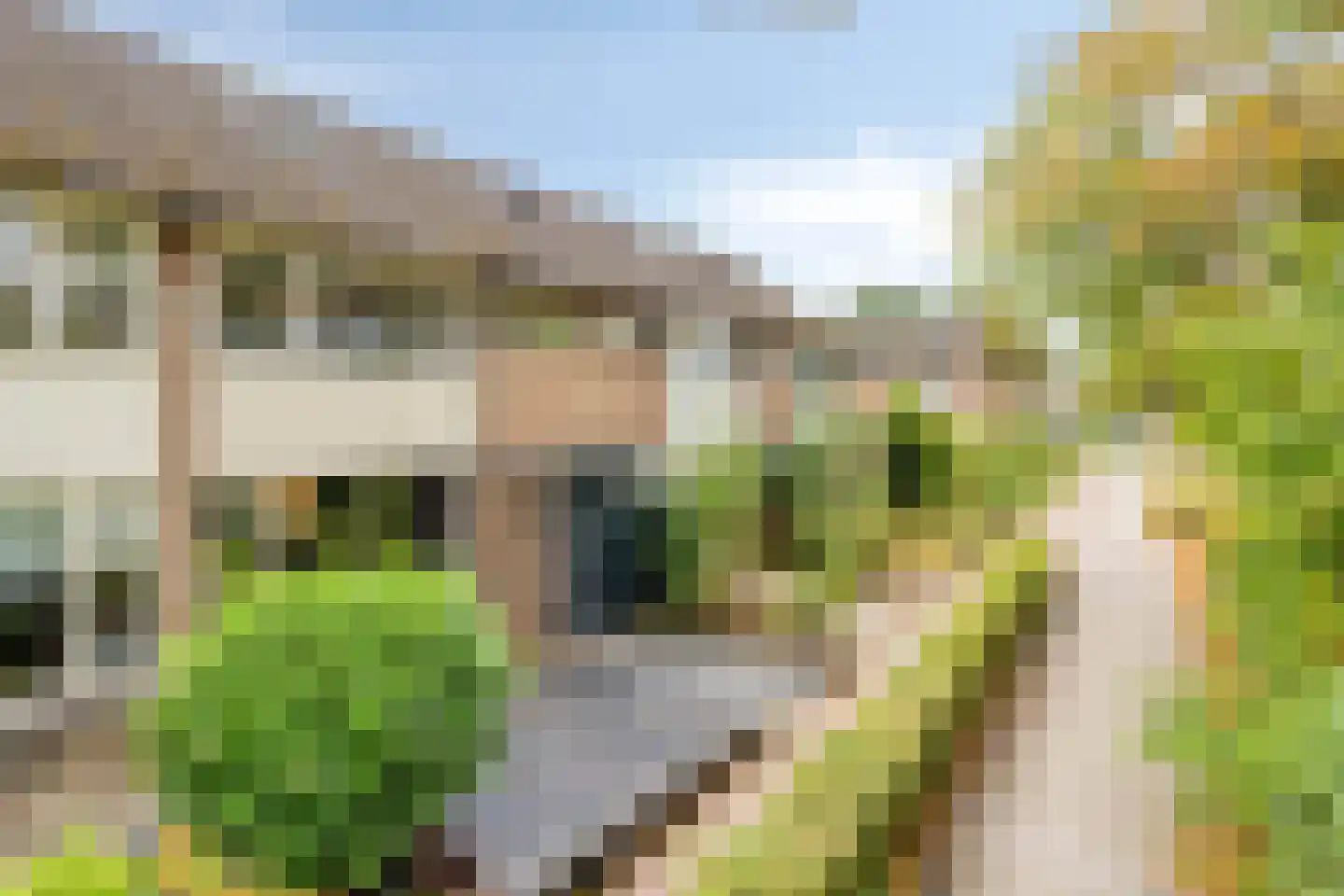 Korhoenderveld 29 Cuijk thumbnail 8