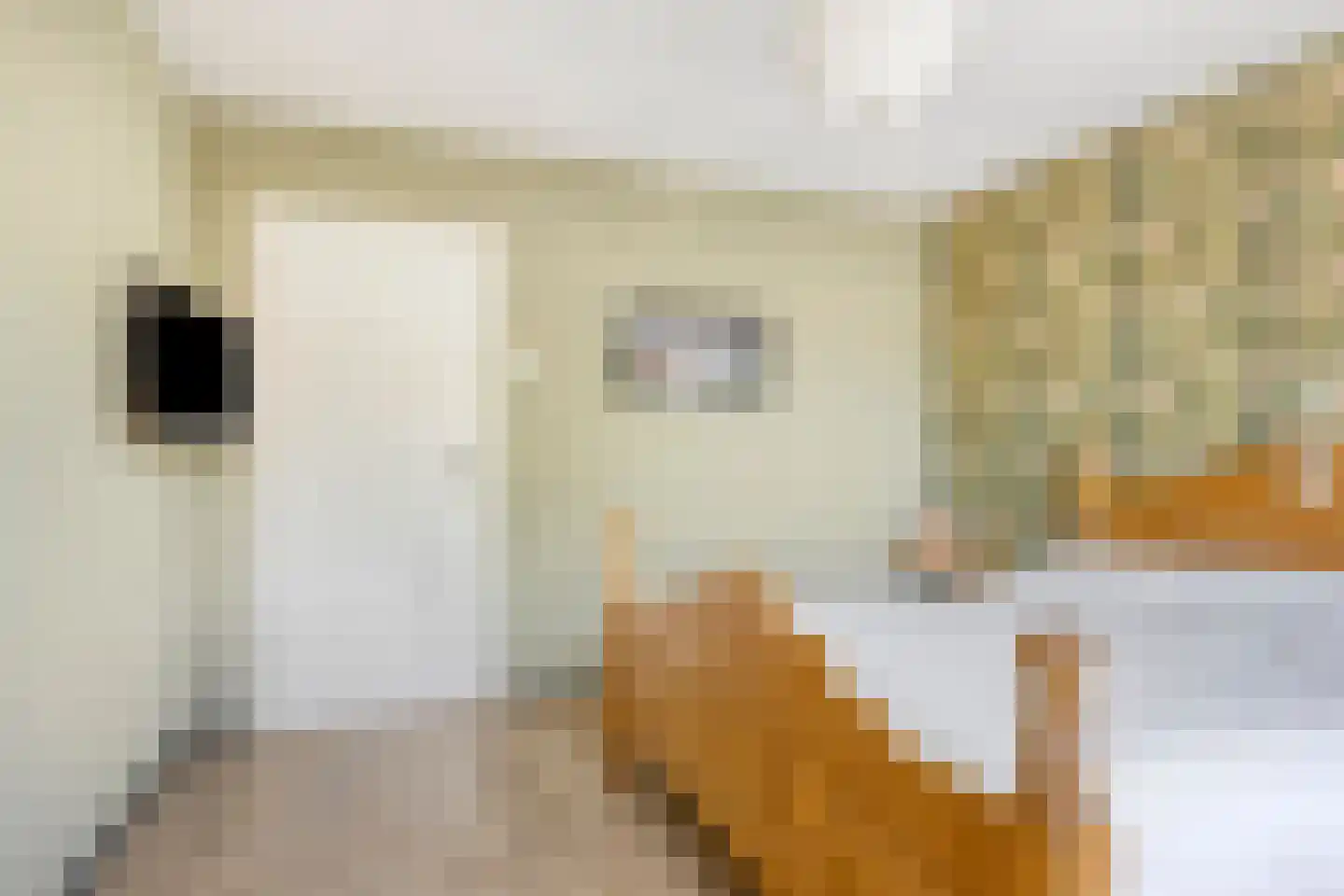 Korhoenderveld 31 Cuijk thumbnail 22