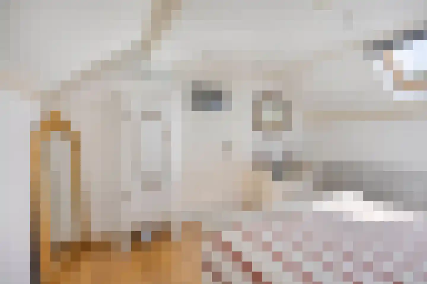 Korhoenderveld 31 Cuijk thumbnail 32