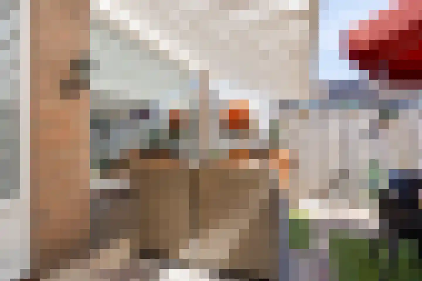 Korhoenderveld 31 Cuijk thumbnail 36