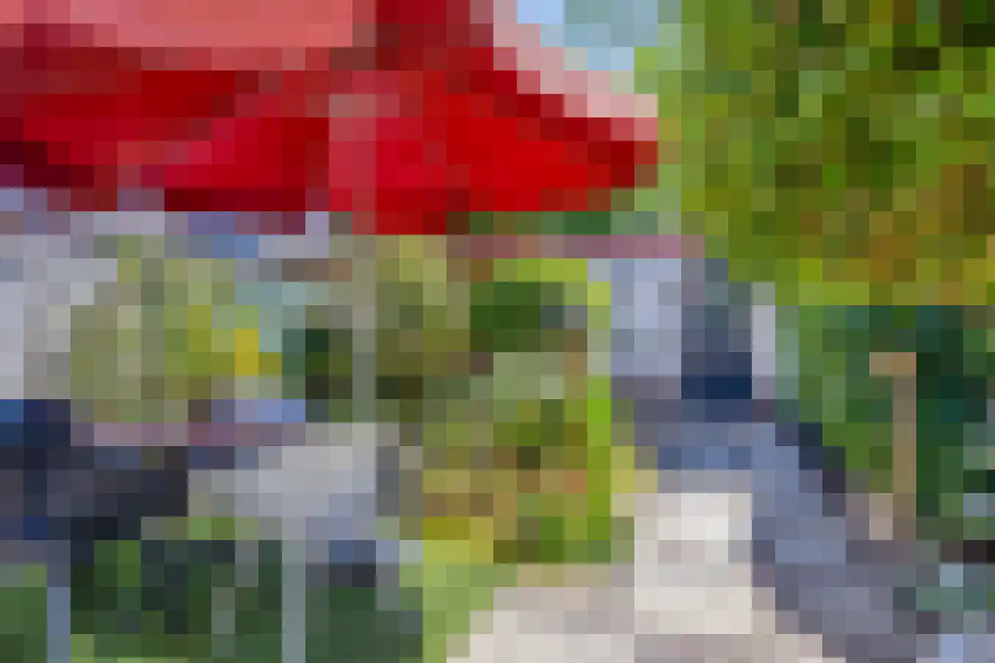 Korhoenderveld 31 Cuijk thumbnail 37