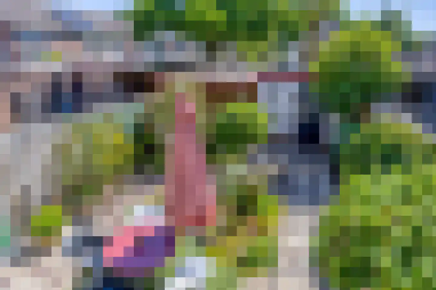 Korhoenderveld 31 Cuijk thumbnail 38