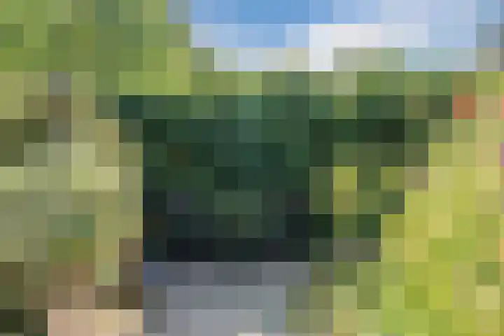Korhoenderveld 32 Cuijk thumbnail 24
