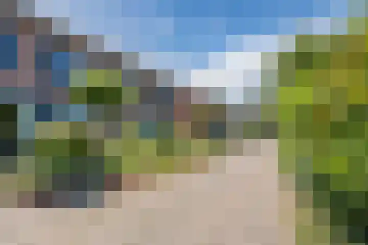Korhoenderveld 32 Cuijk thumbnail 29