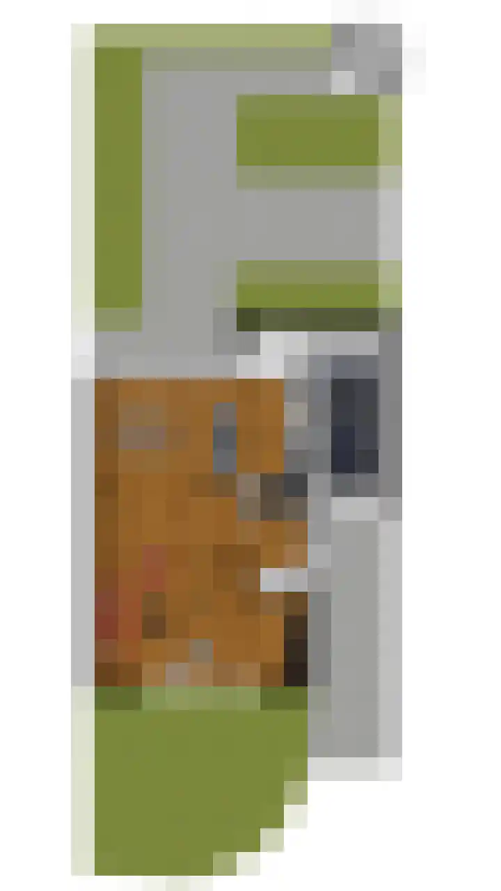 Korhoenderveld 32 Cuijk thumbnail 34