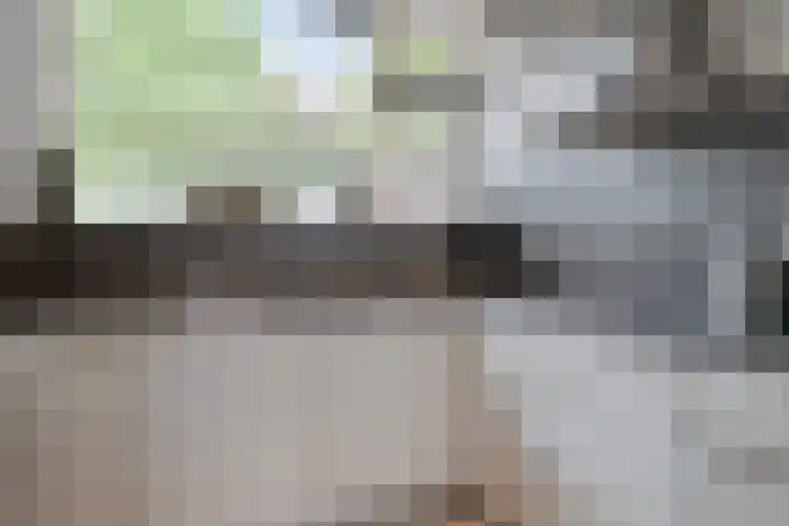 Korhoenderveld 61 Cuijk thumbnail 16