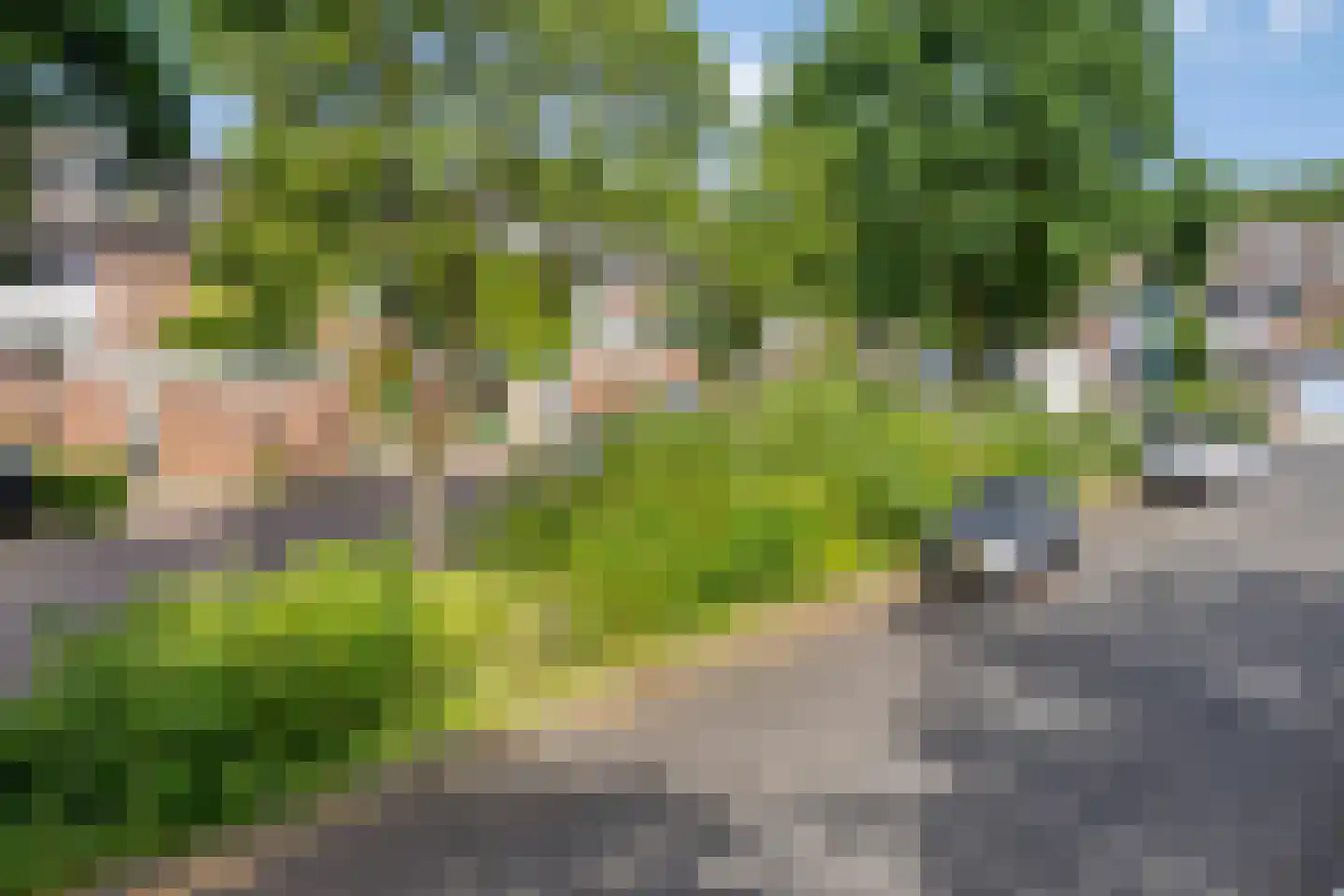 Korhoenderveld 69 Cuijk thumbnail 10