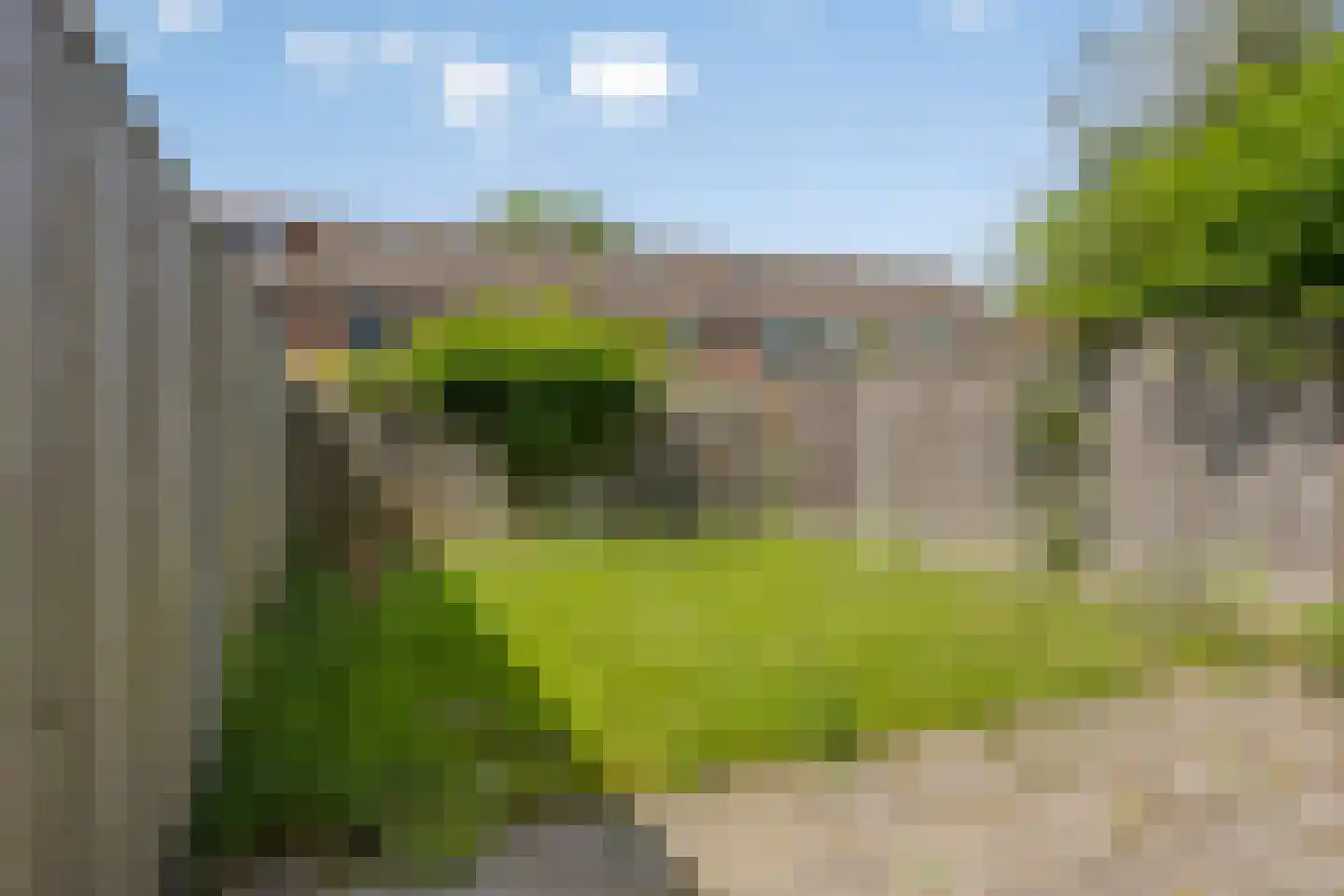 Korhoenderveld 69 Cuijk thumbnail 32