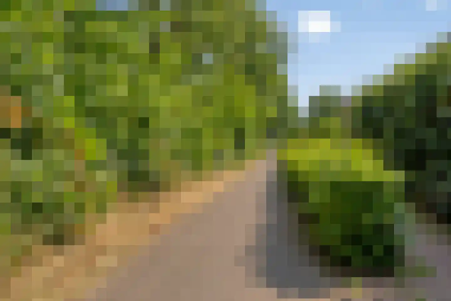 Korhoenderveld 69 Cuijk thumbnail 34