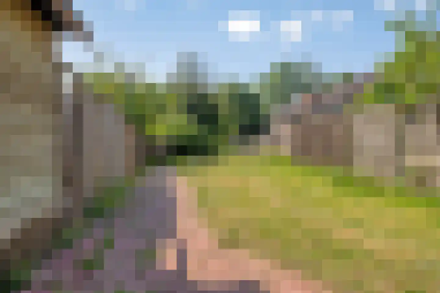 Korhoenderveld 69 Cuijk thumbnail 35