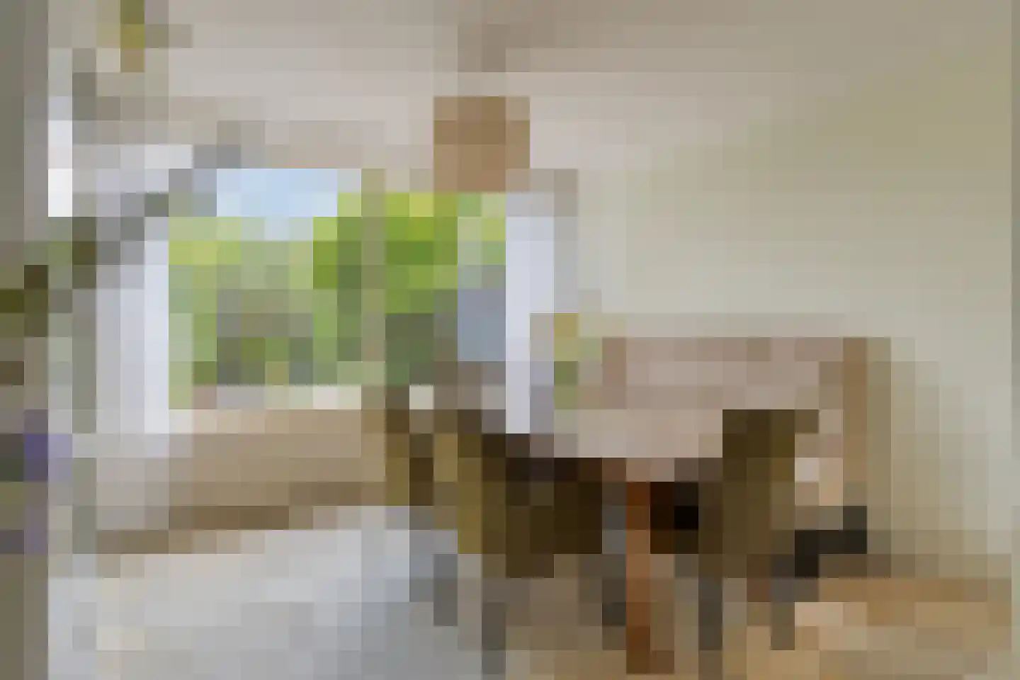 Korhoenderveld 95 Cuijk thumbnail 17