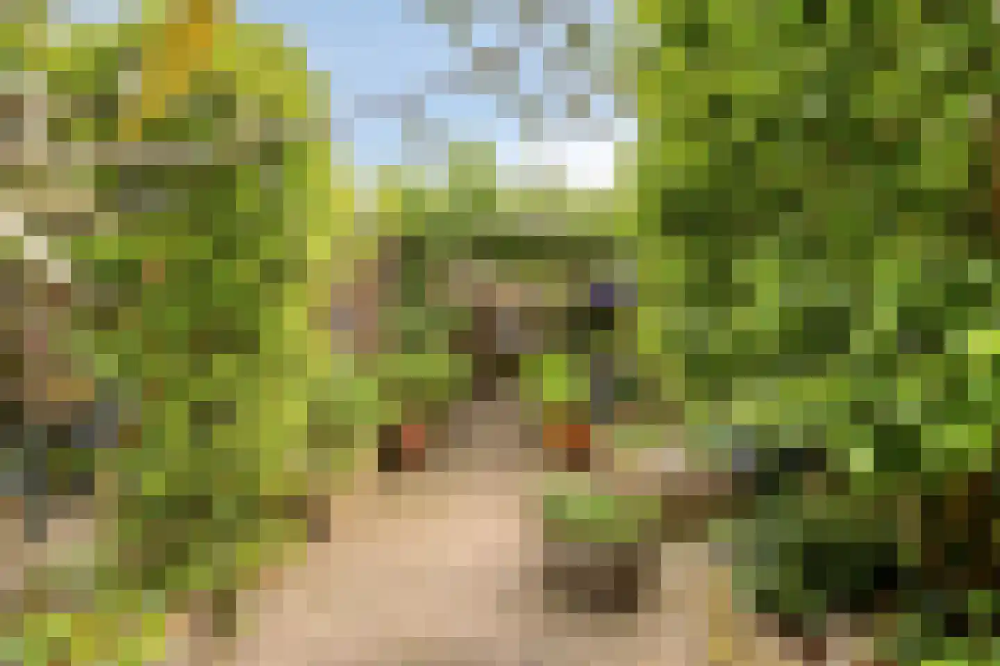 Korhoenderveld 95 Cuijk thumbnail 41