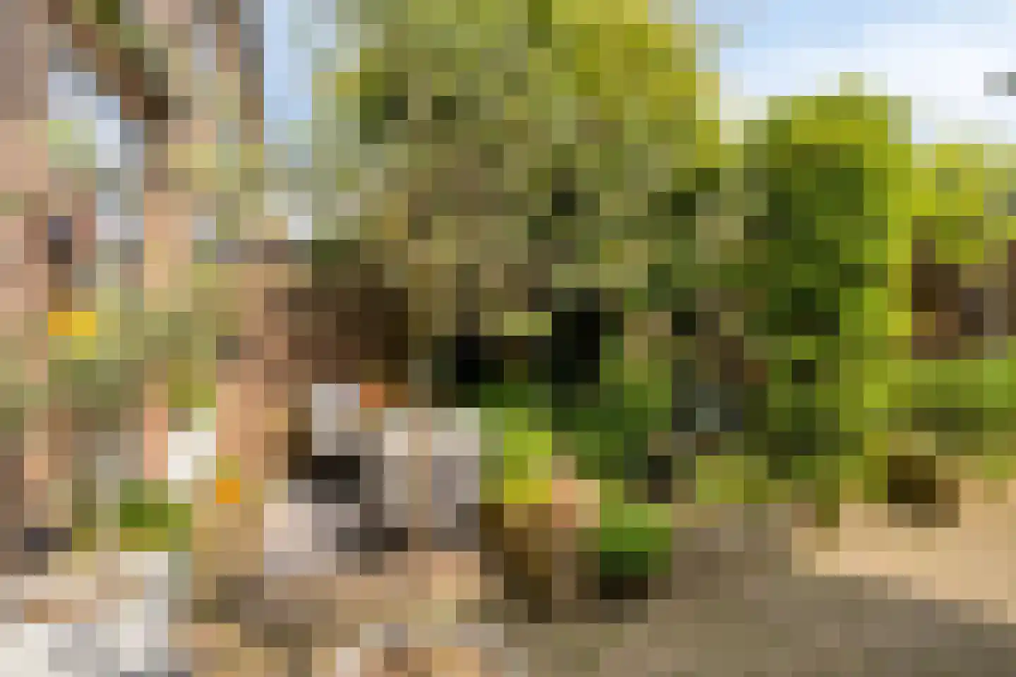 Korhoenderveld 95 Cuijk thumbnail 42