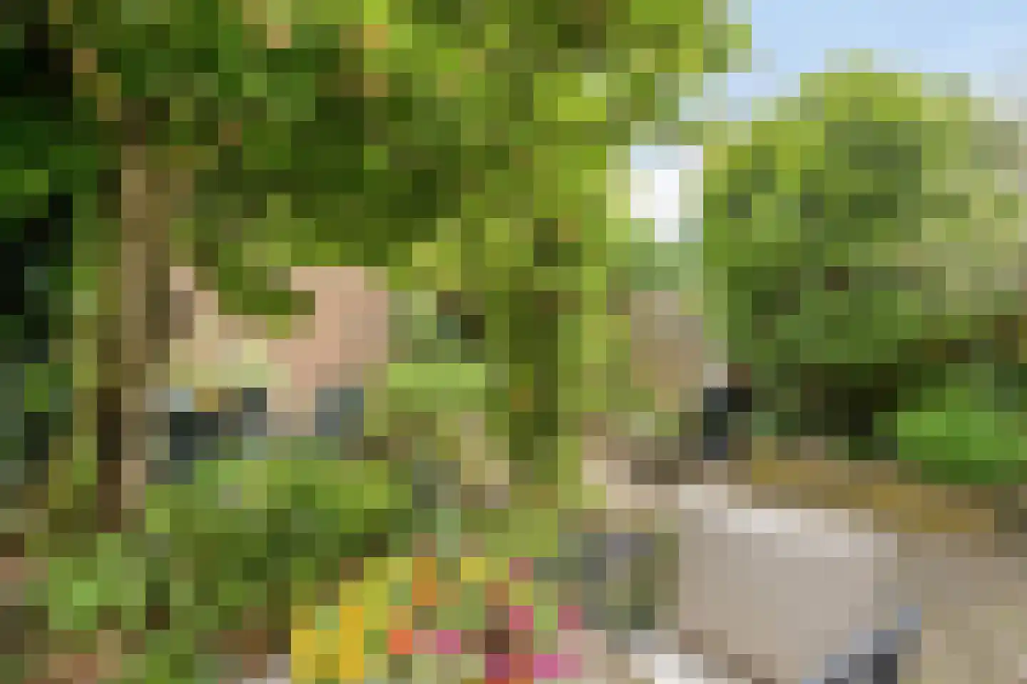 Korhoenderveld 95 Cuijk thumbnail 43