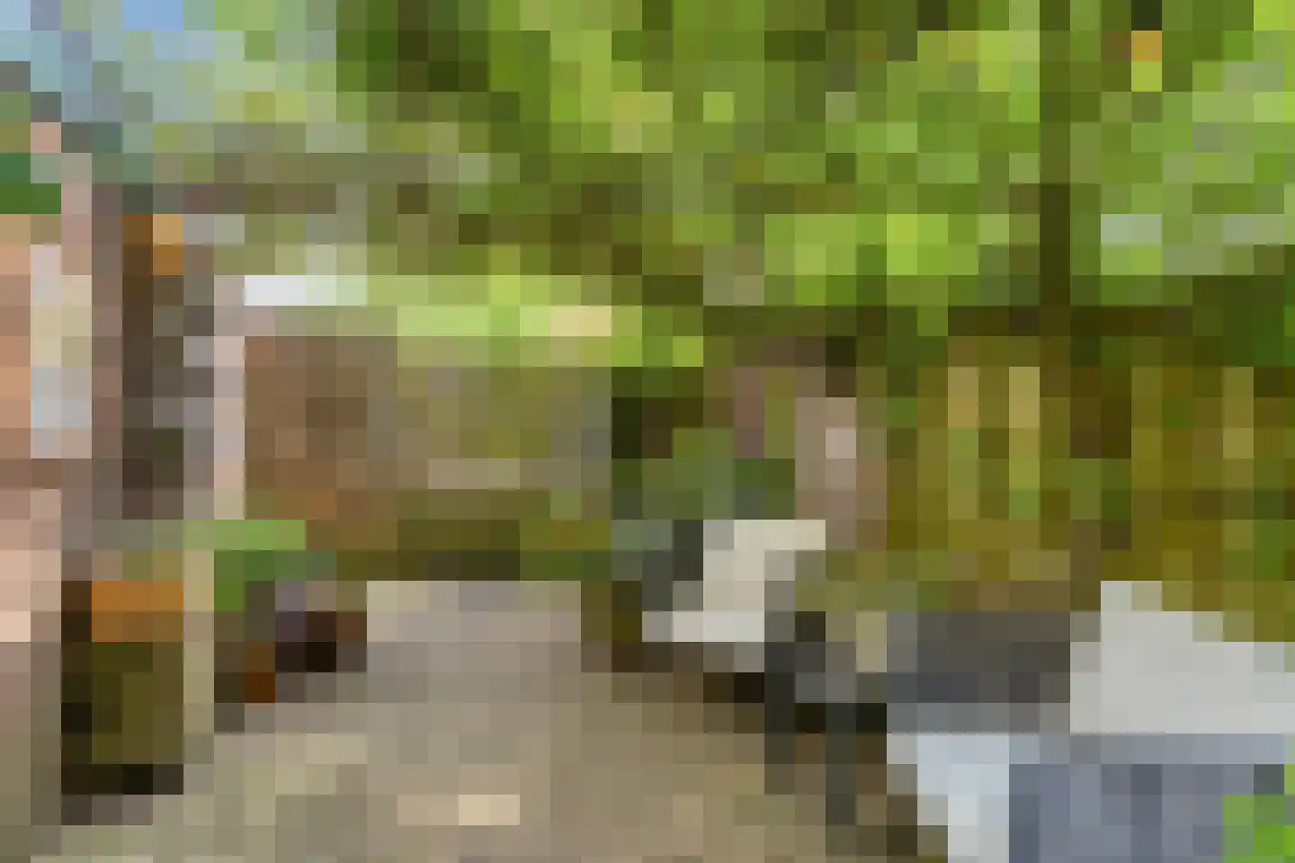 Korhoenderveld 95 Cuijk thumbnail 45