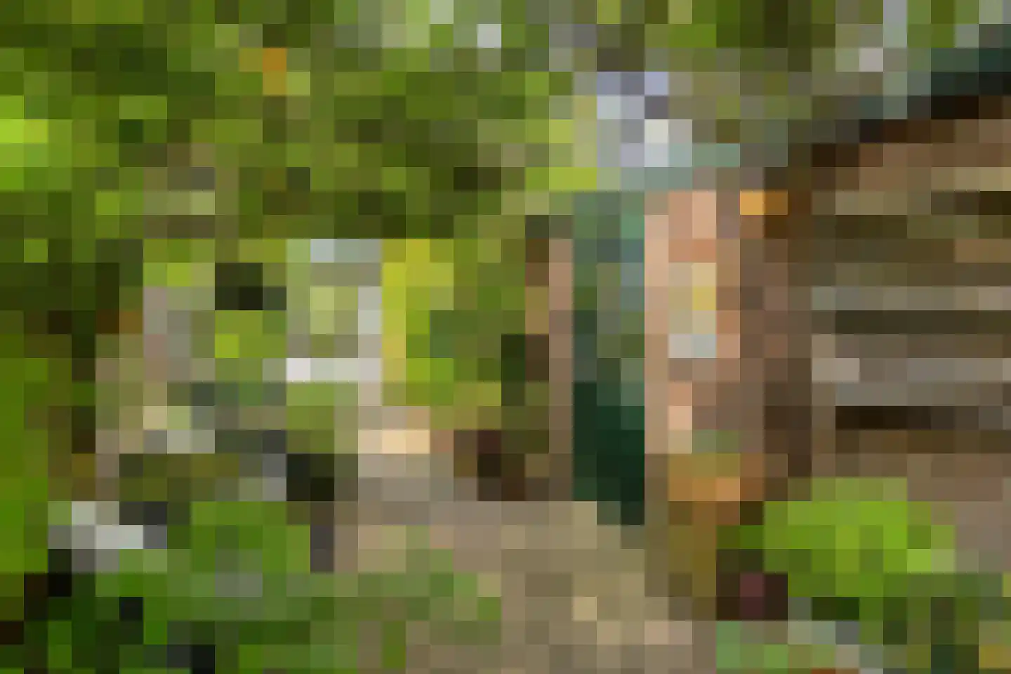 Korhoenderveld 95 Cuijk thumbnail 47