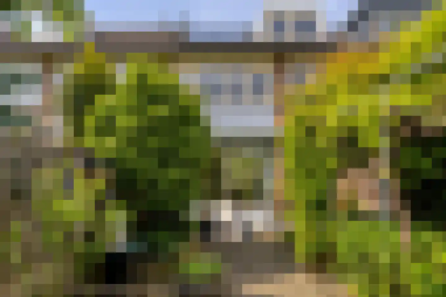 Korhoenderveld 95 Cuijk thumbnail 48