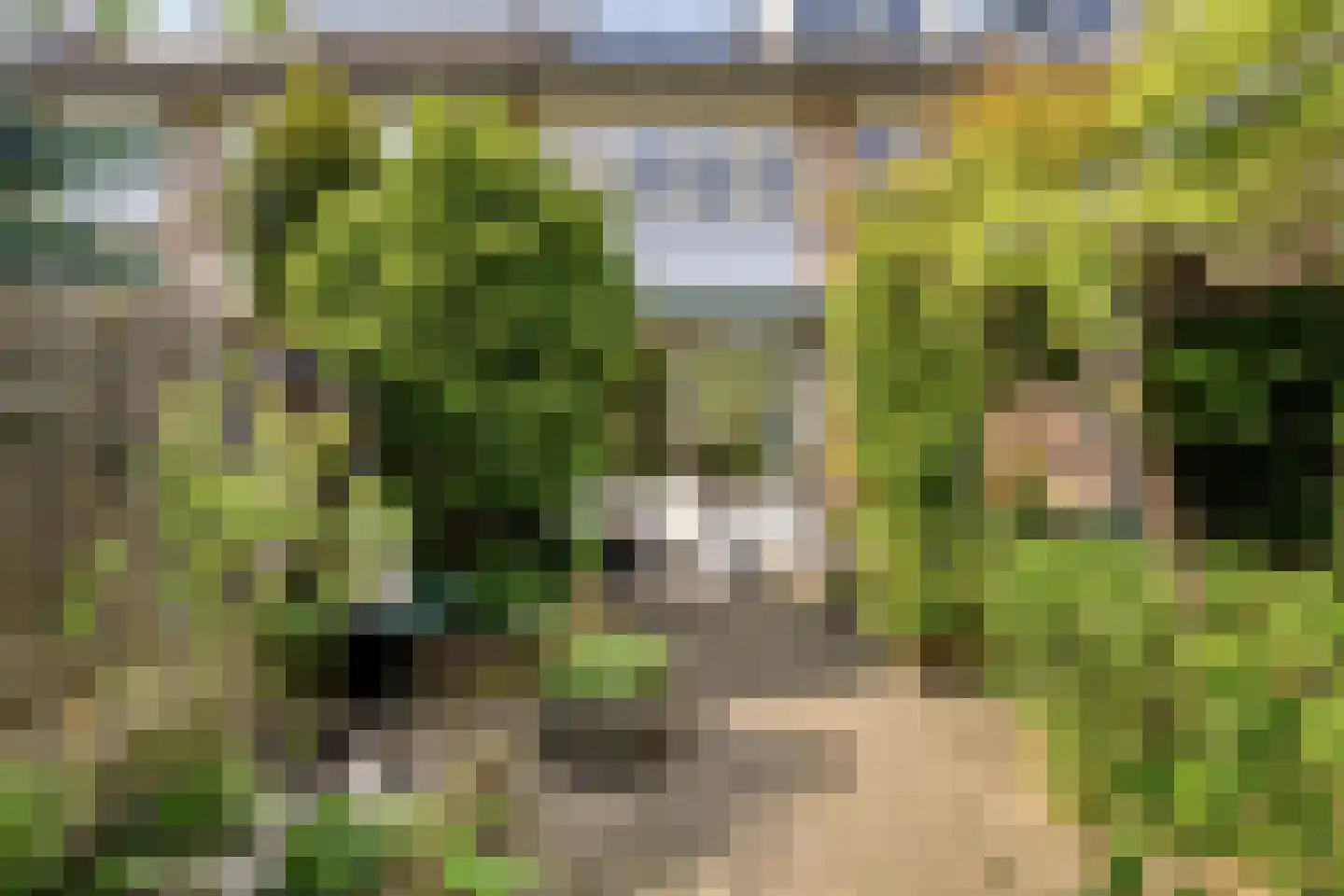 Korhoenderveld 95 Cuijk thumbnail 49