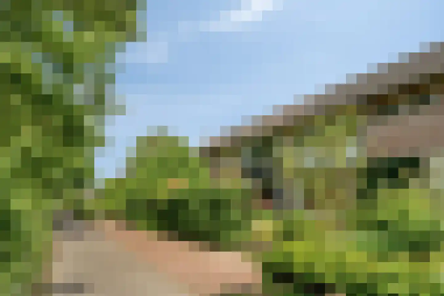 Korhoenderveld 95 Cuijk thumbnail 5