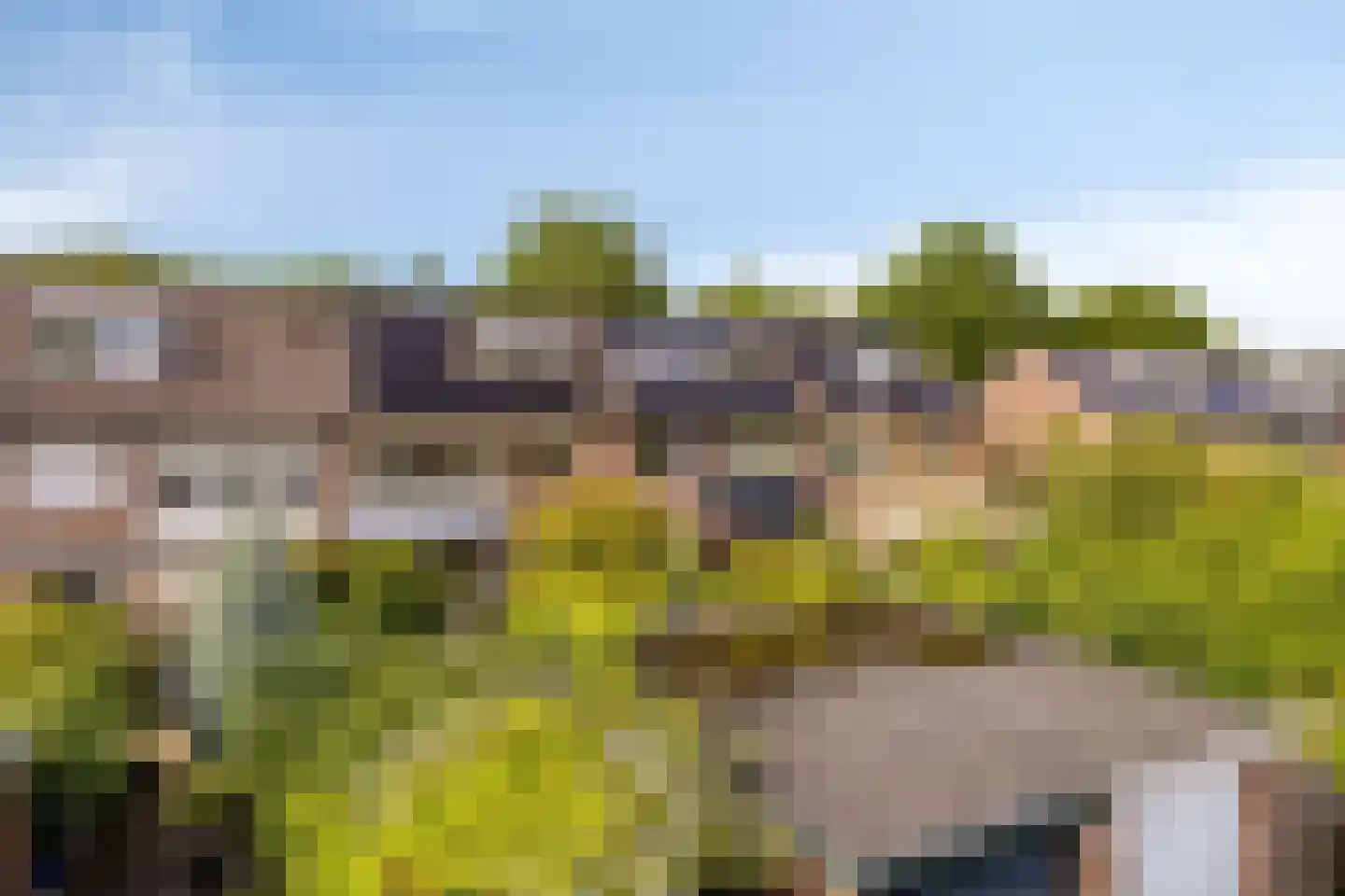 Korhoenderveld 95 Cuijk thumbnail 50
