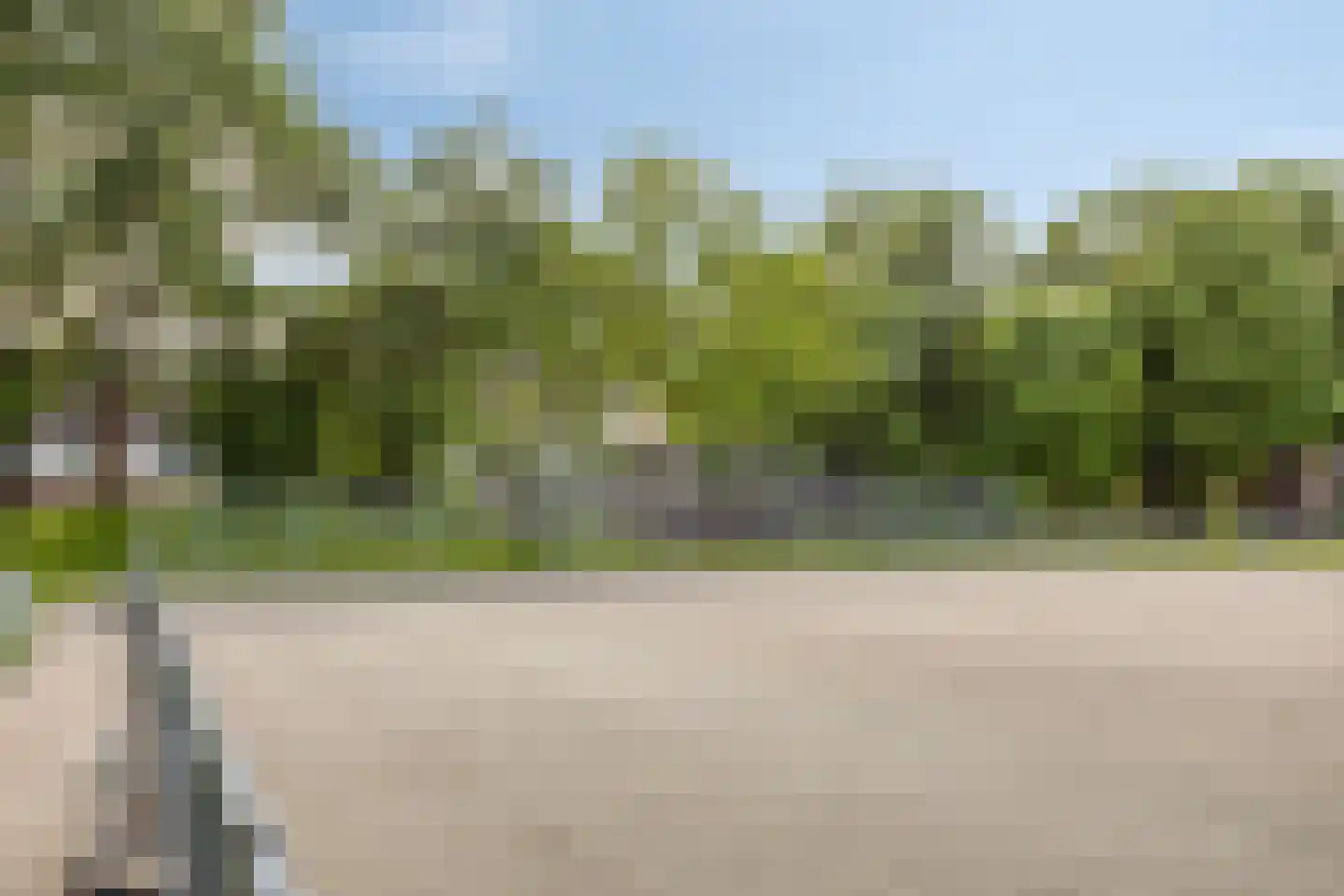 Korhoenderveld 95 Cuijk thumbnail 54