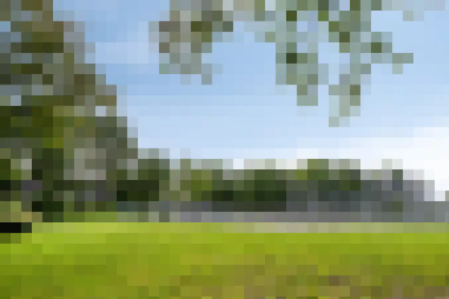 Korhoenderveld 95 Cuijk thumbnail 55