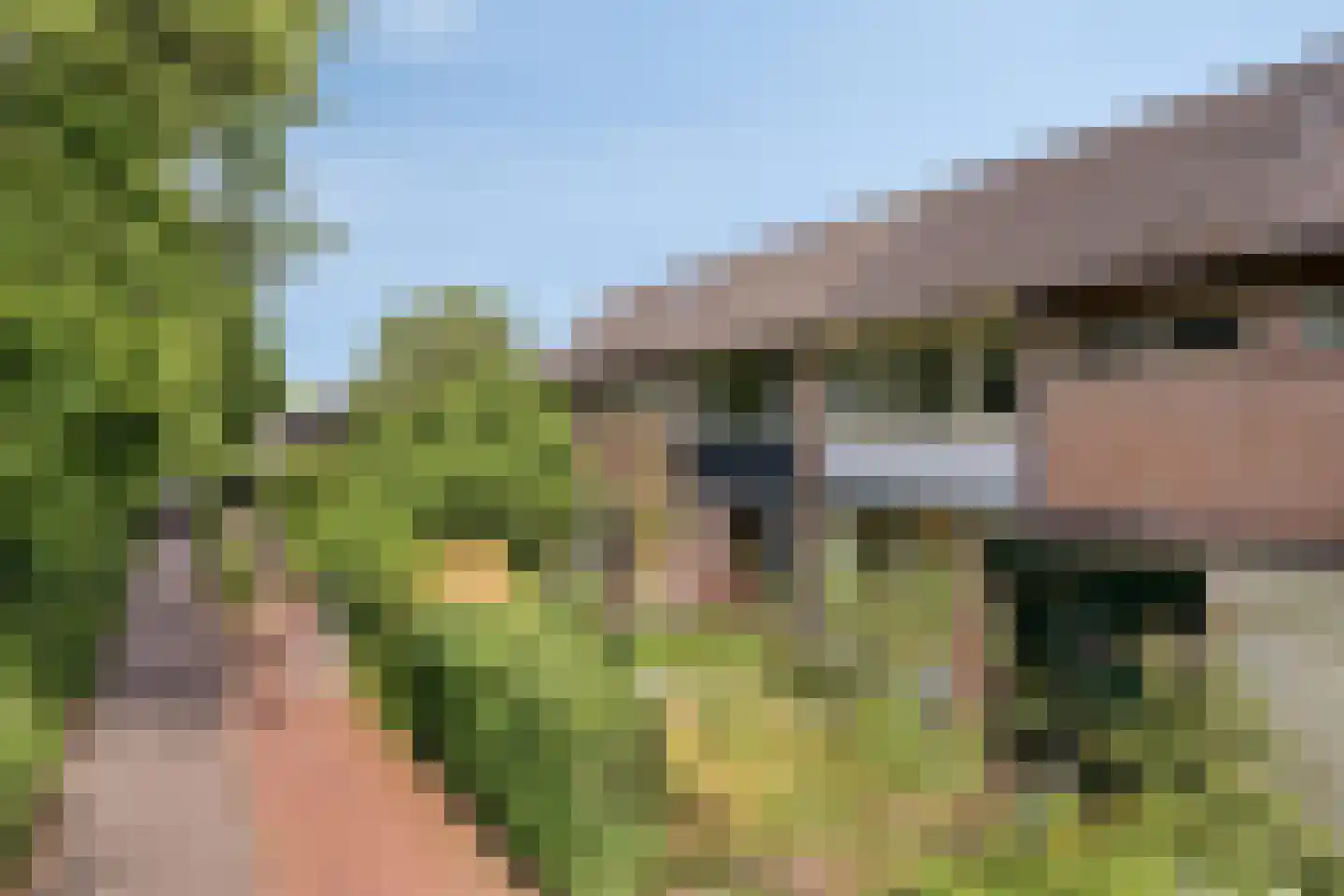 Korhoenderveld 95 Cuijk thumbnail 6