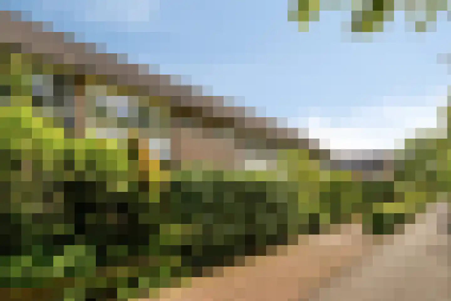 Korhoenderveld 95 Cuijk thumbnail 8