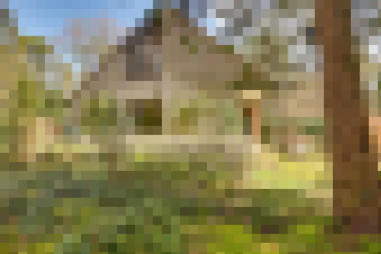 Korhoenderweg 19 Holten thumbnail 39