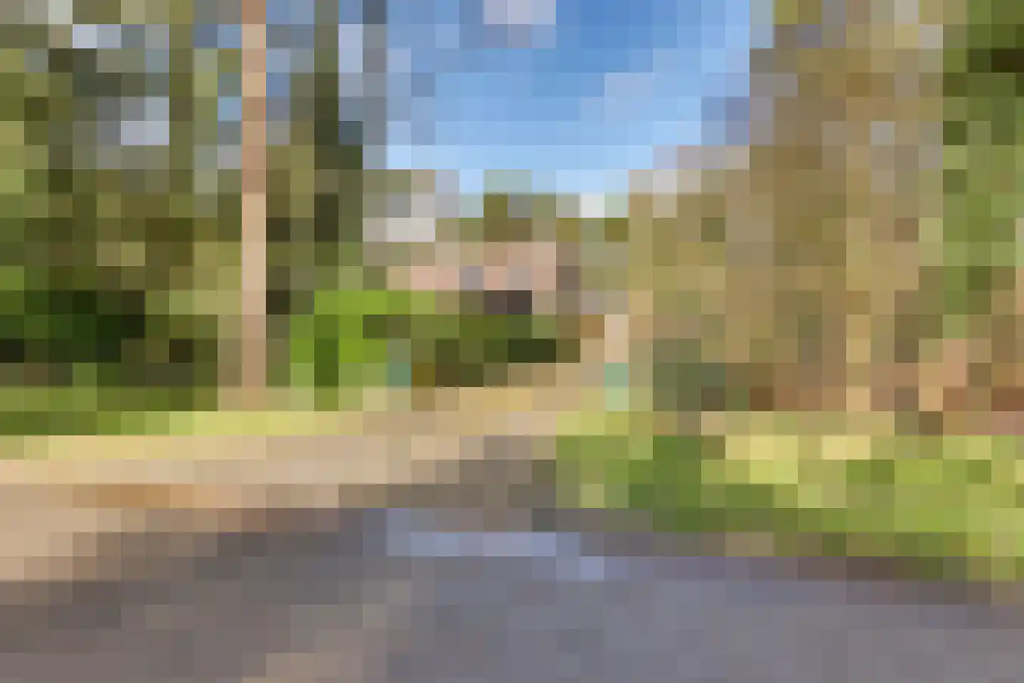 Korhoenderweg 19 Holten thumbnail 4