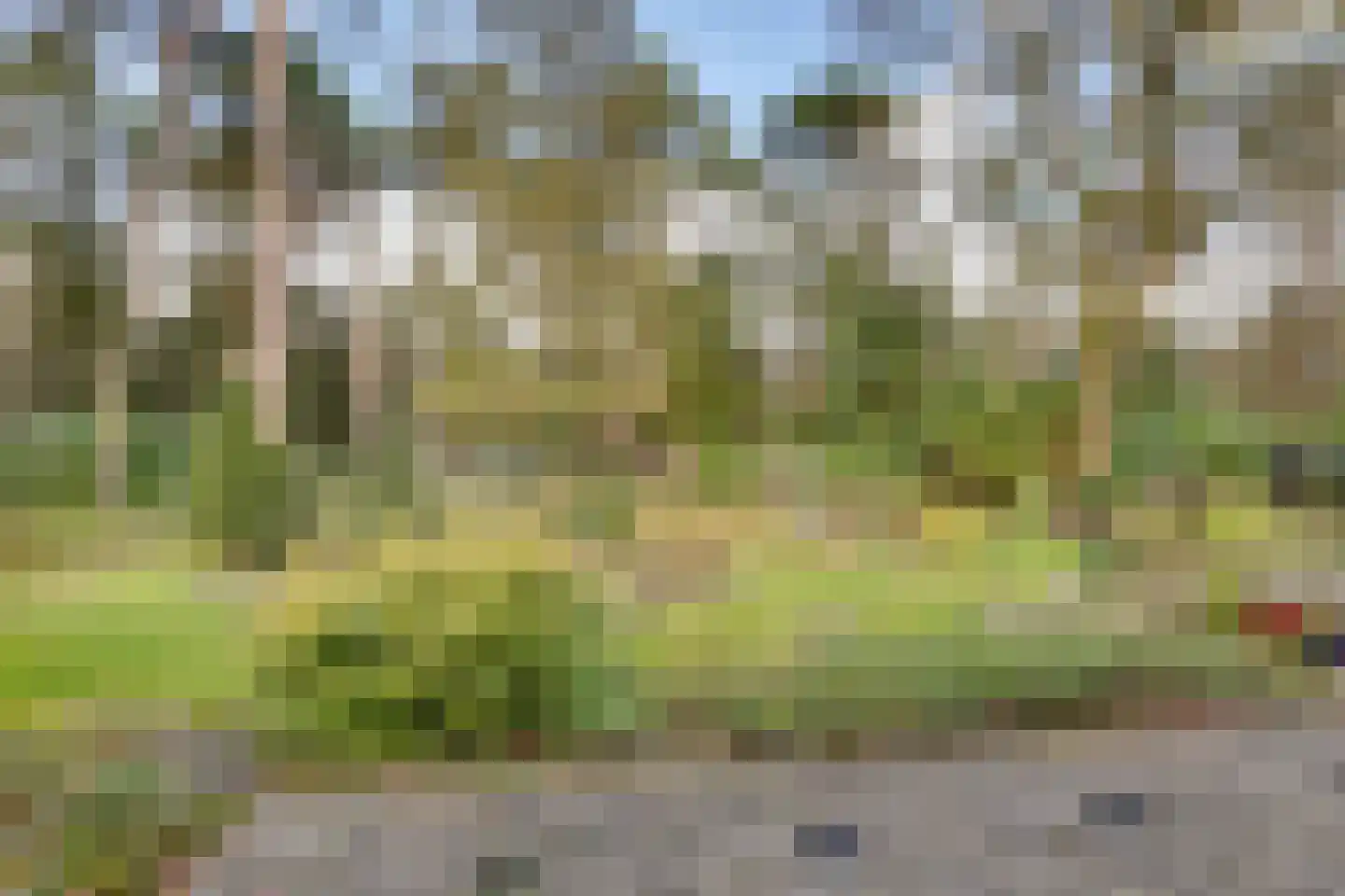 Korhoenderweg 19 Holten thumbnail 42