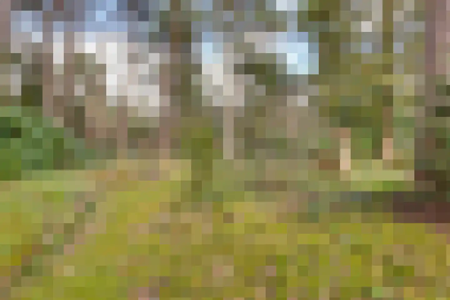 Korhoenderweg 19 Holten thumbnail 43