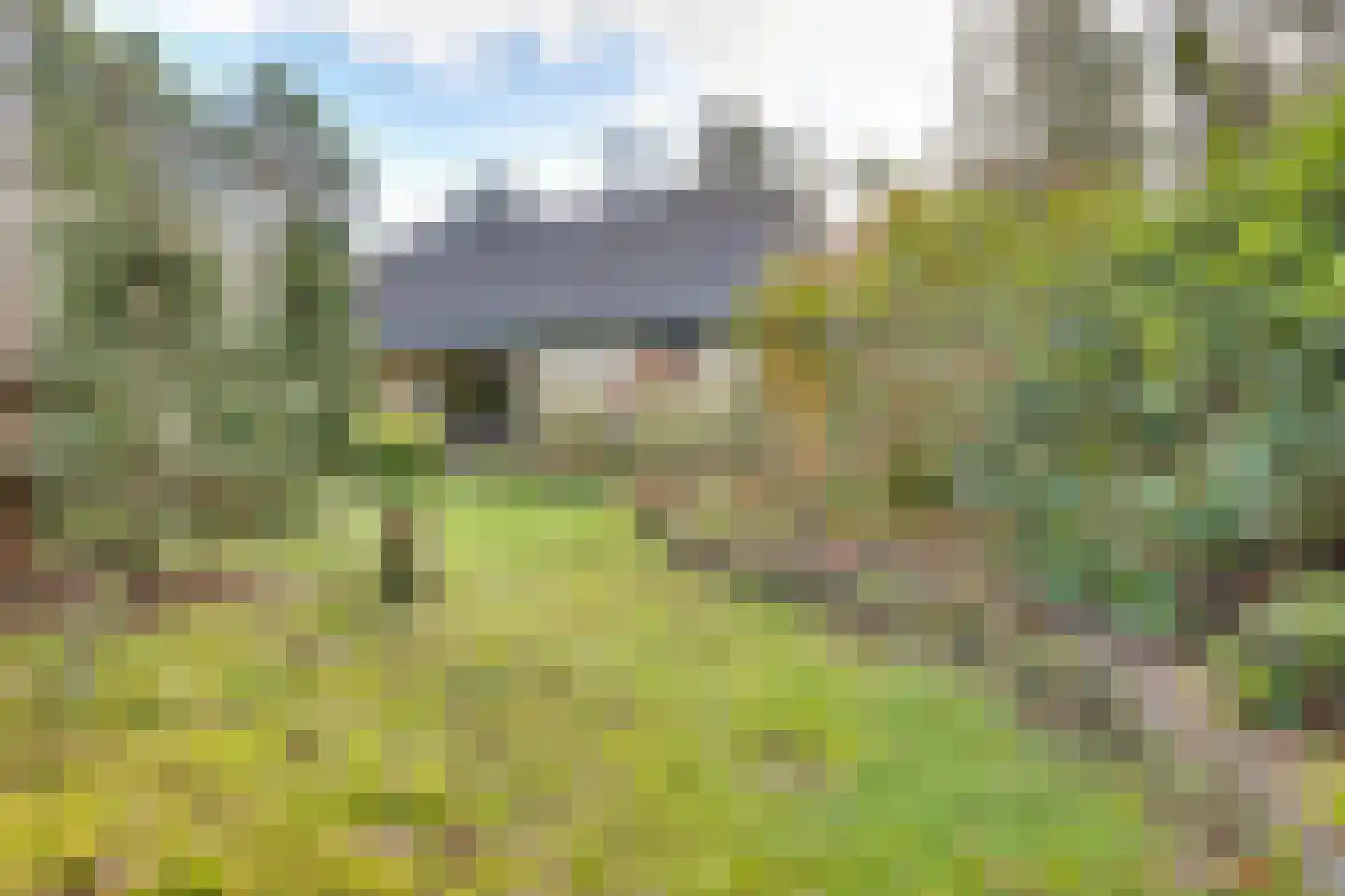 Korhoenderweg 19 Holten thumbnail 44