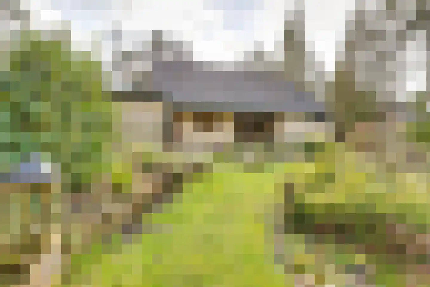 Korhoenderweg 19 Holten thumbnail 45