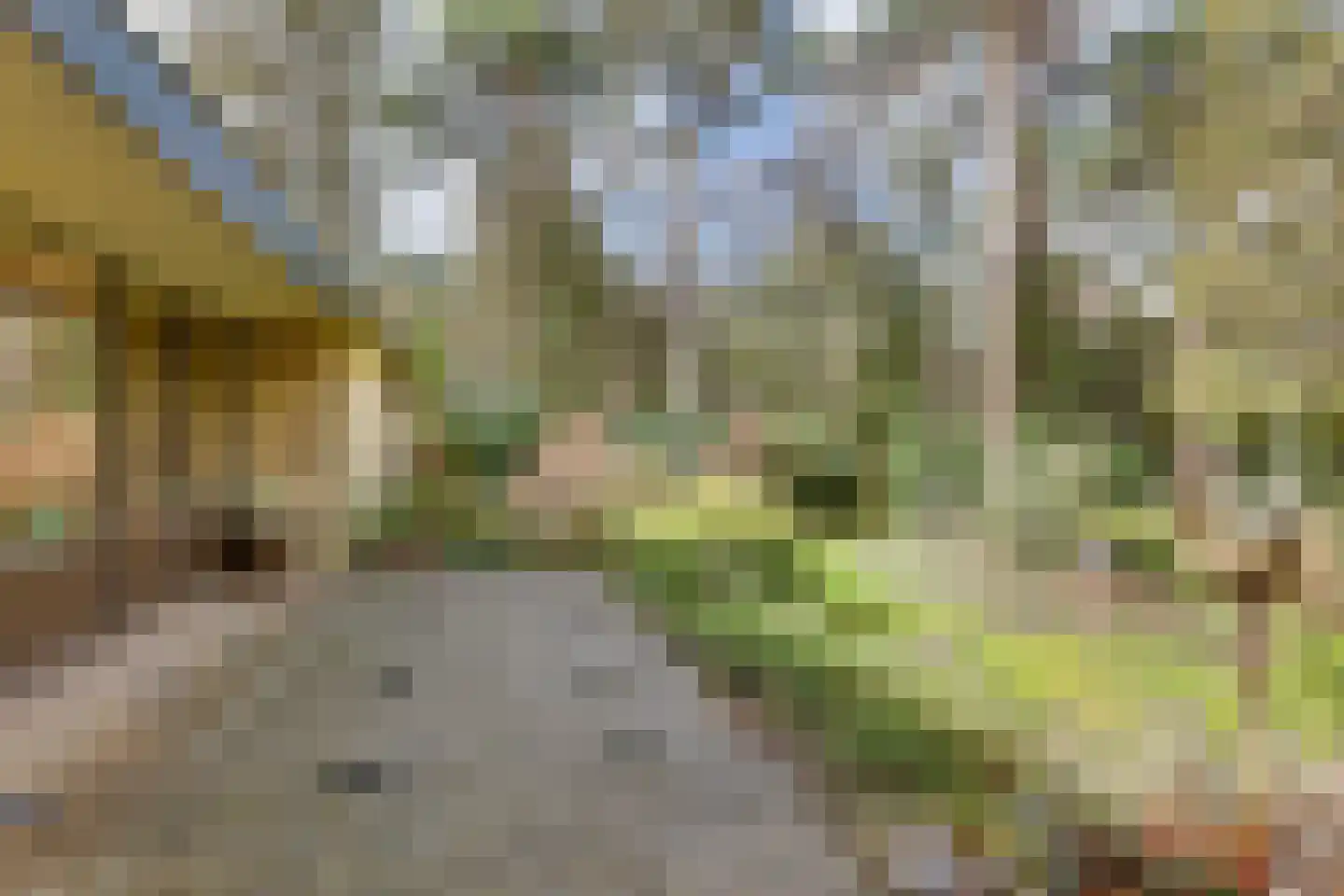 Korhoenderweg 19 Holten thumbnail 47