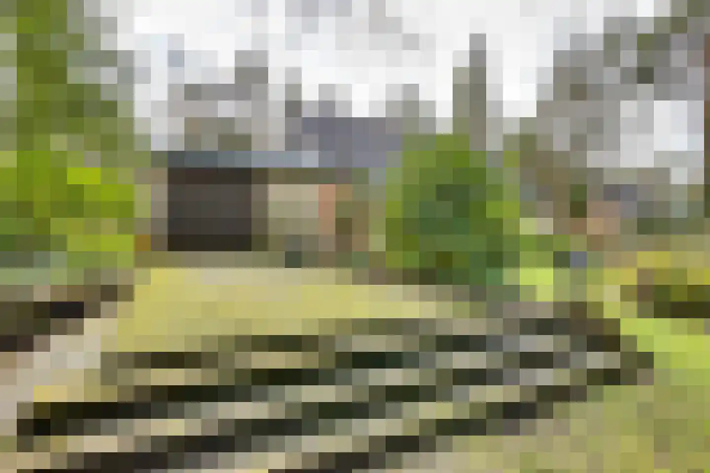 Korhoenderweg 19 Holten thumbnail 48