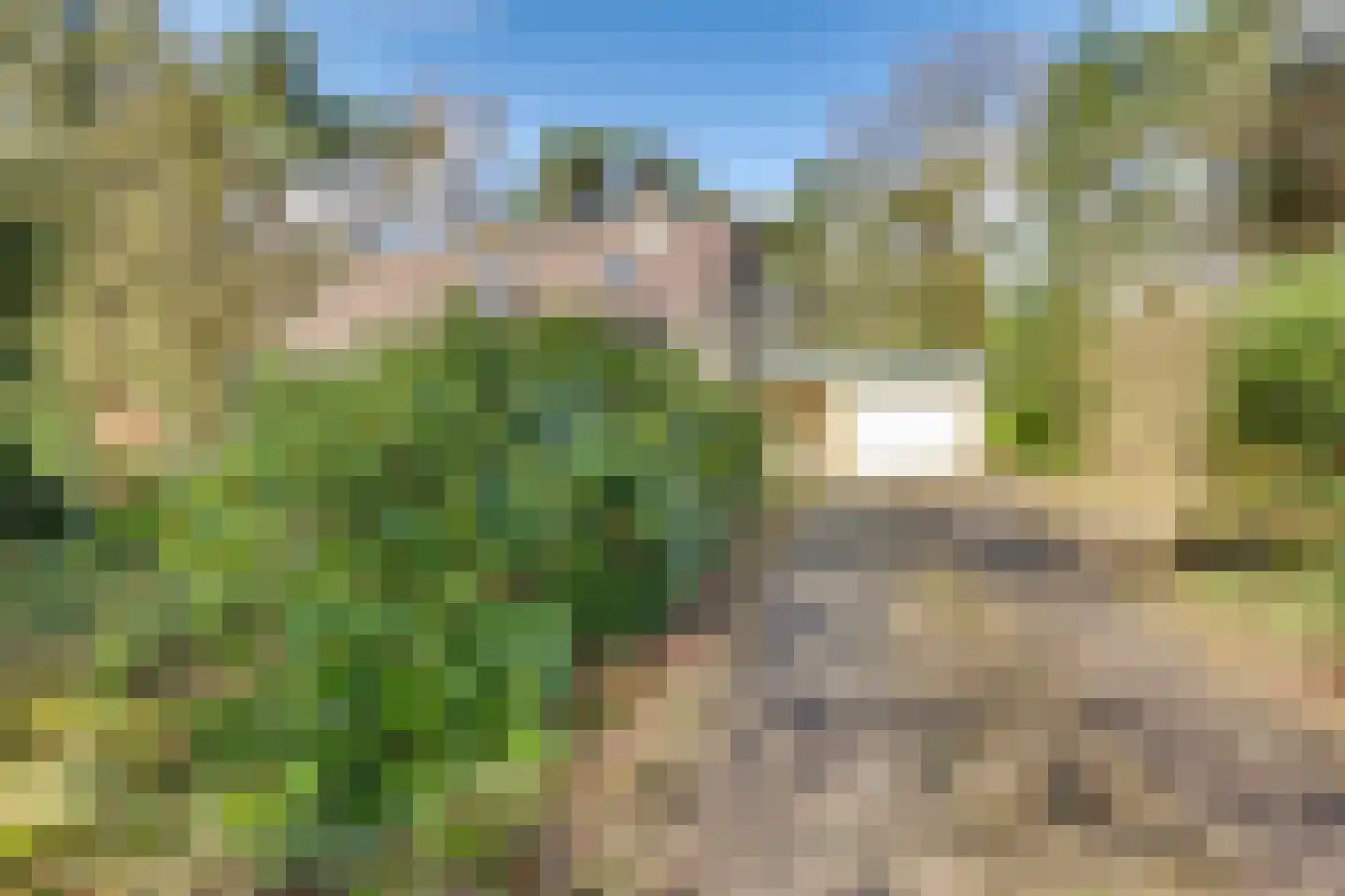 Korhoenderweg 19 Holten thumbnail 5