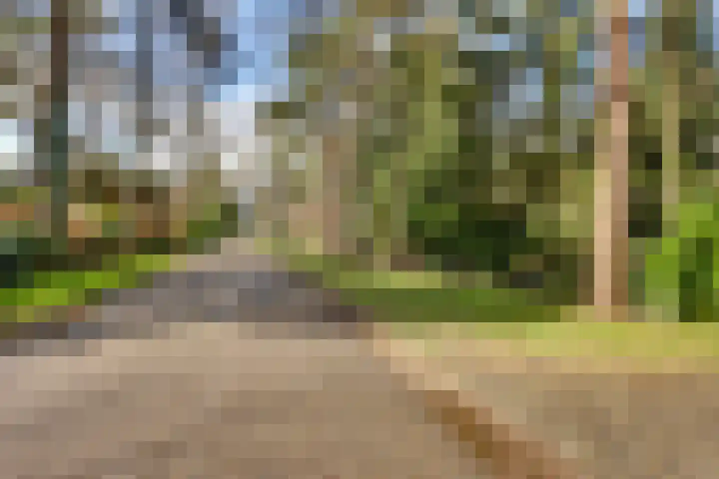 Korhoenderweg 19 Holten thumbnail 51