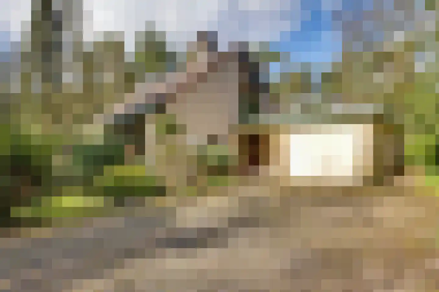 Korhoenderweg 19 Holten thumbnail 6