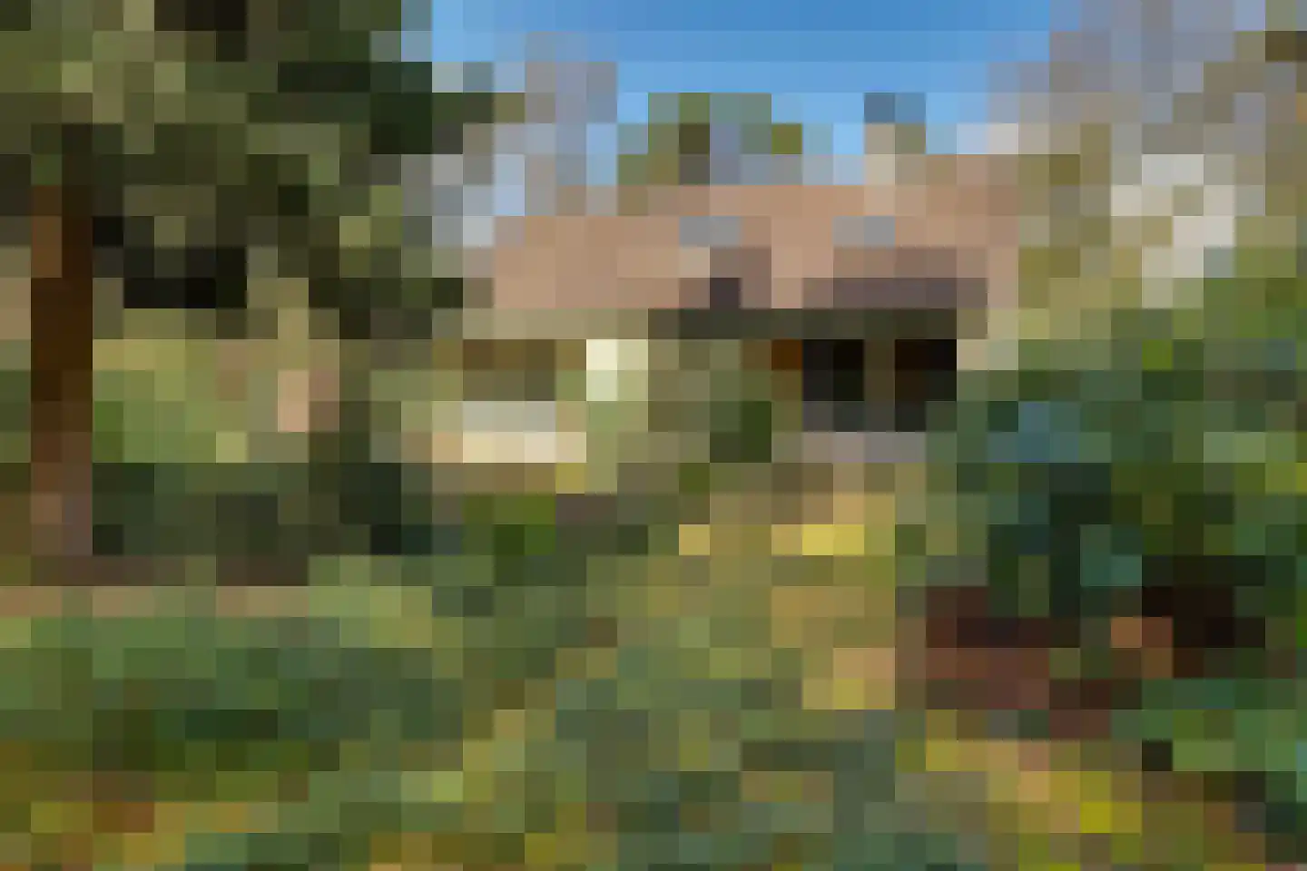 Korhoenderweg 19 Holten thumbnail 7