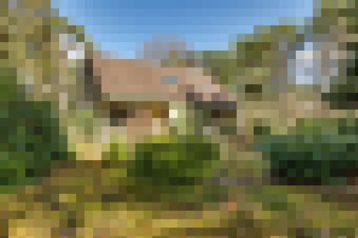 Korhoenderweg 19 Holten thumbnail 8