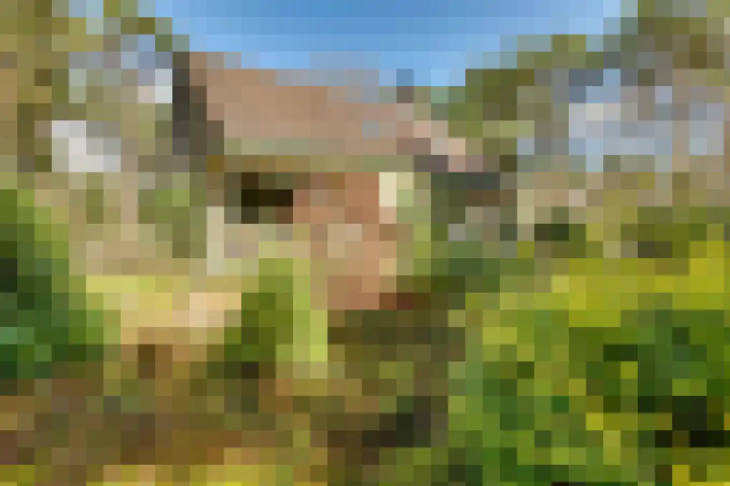 Korhoenderweg 19 Holten thumbnail 9