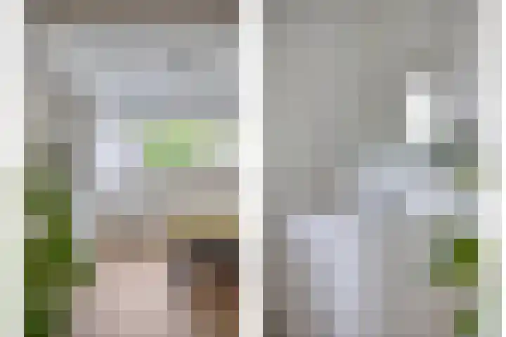 Korhoenhof 14 Nuenen thumbnail 11
